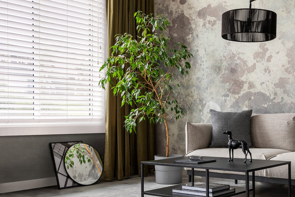 About us Roller Blinds Lounge