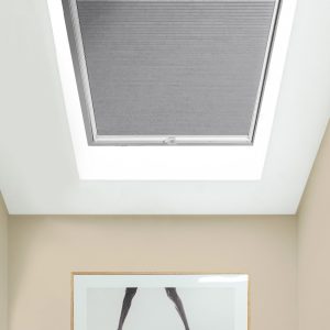 Honeycomb 25mm Room Darkening for Skylights (import)