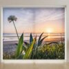 Printed roller blind 5691 Printed roller blind 5691 nz