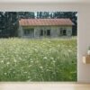 printed-roller-blind – printed-cottage Printed roller blind cottage nz