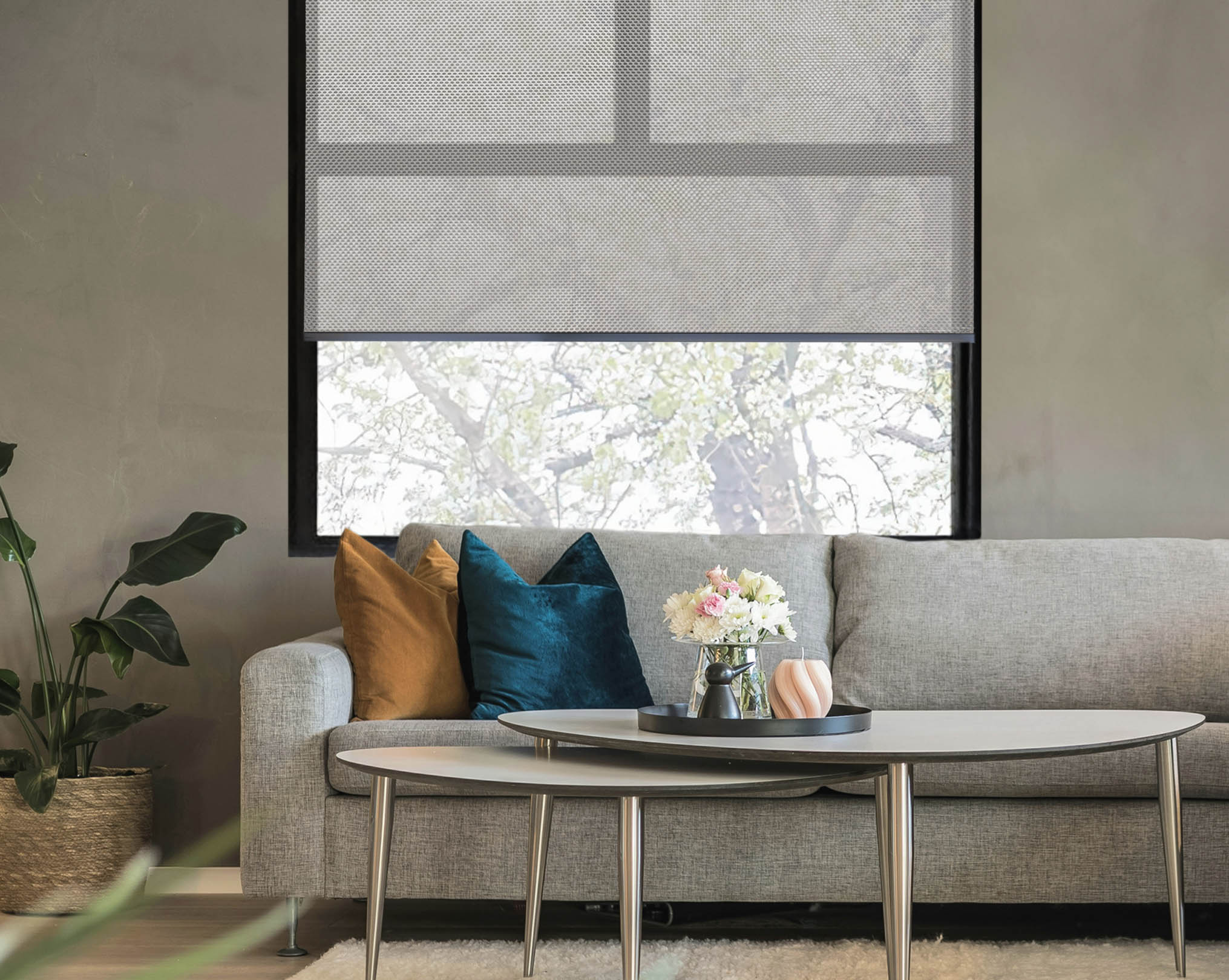 A300 5% sunscreen roller blind (import)